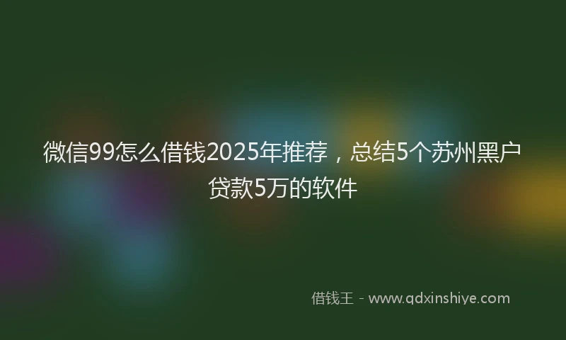微信99怎么借钱2025年推荐，总结5个苏州黑户贷款5万的软件