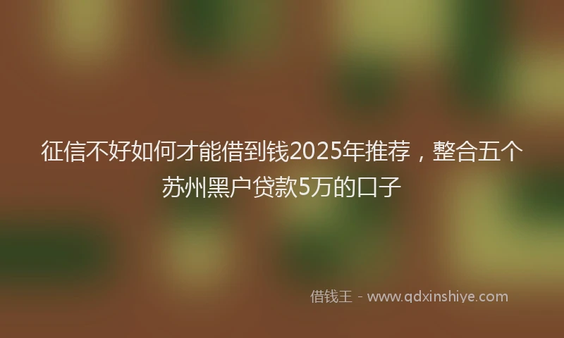 征信不好如何才能借到钱2025年推荐，整合五个苏州黑户贷款5万的口子