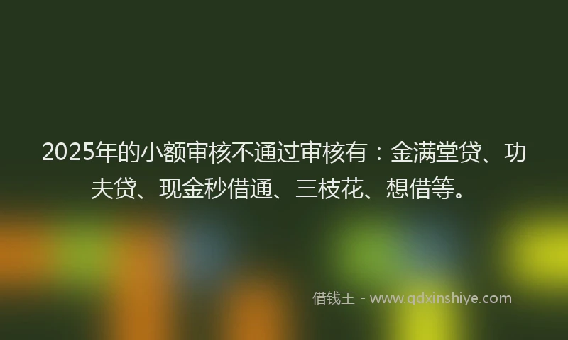 2025年的小额审核不通过审核有：金满堂贷、功夫贷、现金秒借通、三枝花、想借等。