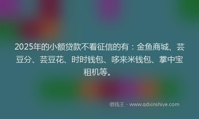2025年的小额贷款不看征信的有：金鱼商城、芸豆分、芸豆花、时时钱包、哆来米钱包、掌中宝租机等。