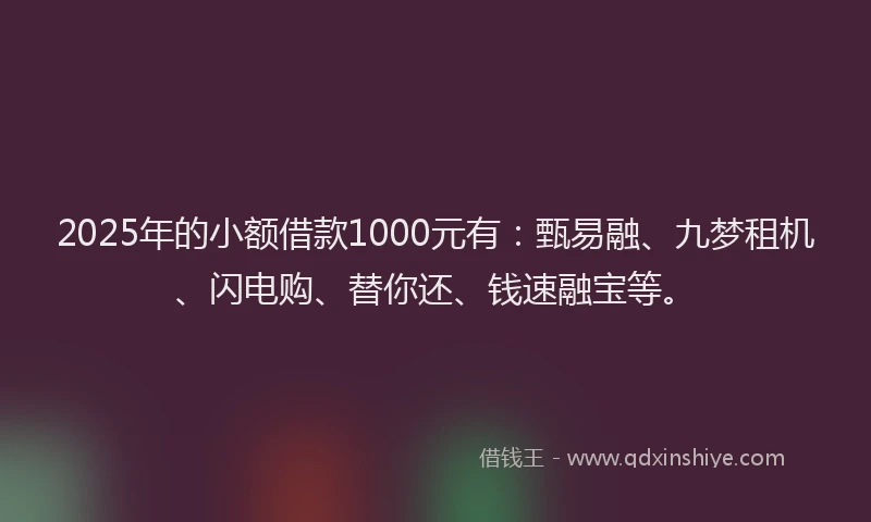 2025年的小额借款1000元有：甄易融、九梦租机、闪电购、替你还、钱速融宝等。