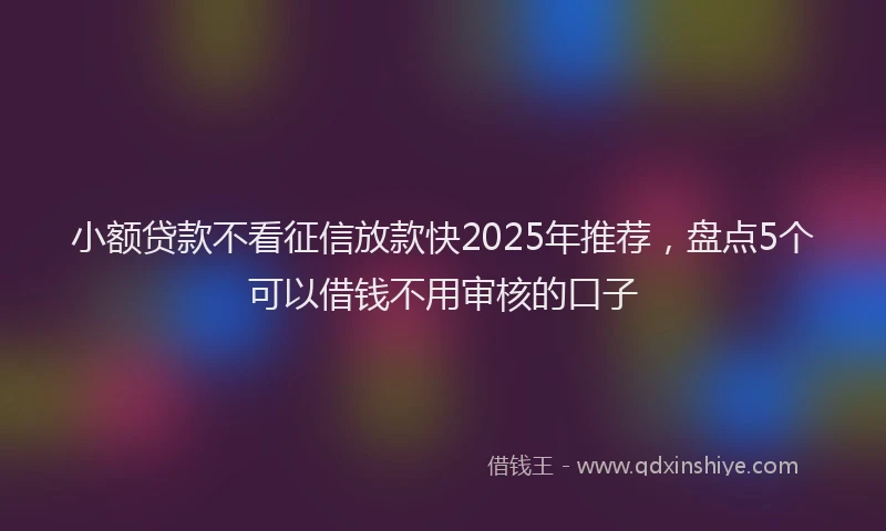 小额贷款不看征信放款快2025年推荐，盘点5个可以借钱不用审核的口子