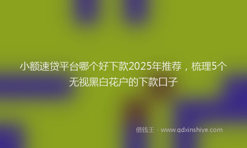 小额速贷平台哪个好下款2025年推荐，梳理5个无视黑白花户的下款口子