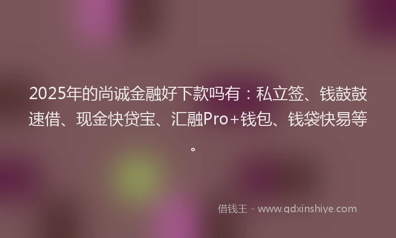 2025年的尚诚金融好下款吗有：私立签、钱鼓鼓速借、现金快贷宝、汇融Pro+钱包、钱袋快易等。