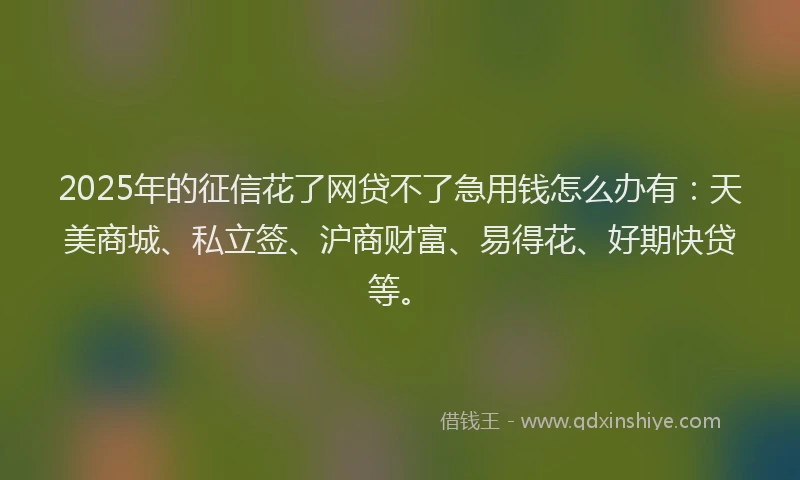 2025年的征信花了网贷不了急用钱怎么办有：天美商城、私立签、沪商财富、易得花、好期快贷等。