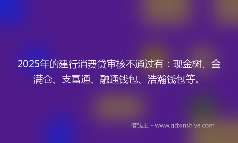 2025年的建行消费贷审核不通过有：现金树、金满仓、支富通、融通钱包、浩瀚钱包等。