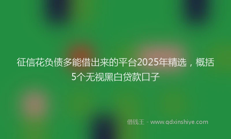 征信花负债多能借出来的平台2025年精选，概括5个无视黑白贷款口子