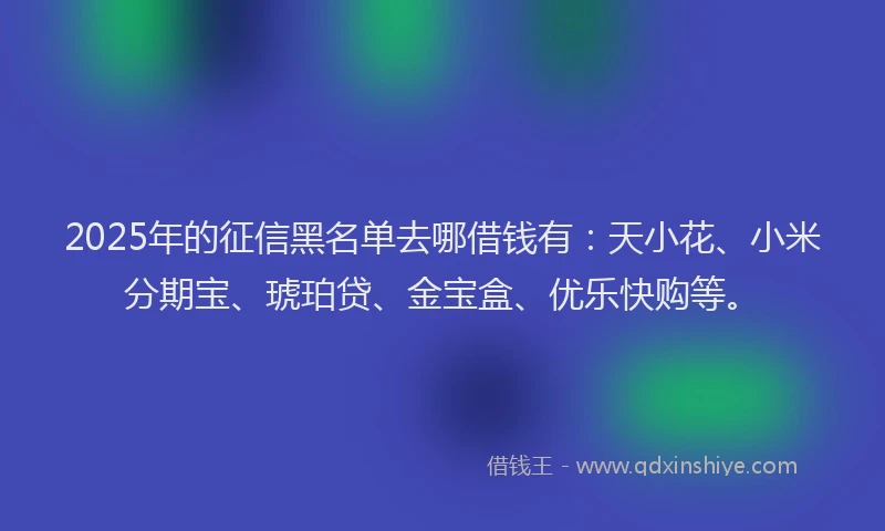 2025年的征信黑名单去哪借钱有：天小花、小米分期宝、琥珀贷、金宝盒、优乐快购等。