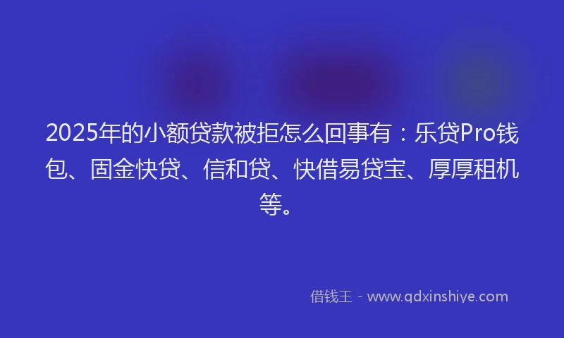 2025年的小额贷款被拒怎么回事有：乐贷Pro钱包、固金快贷、信和贷、快借易贷宝、厚厚租机等。