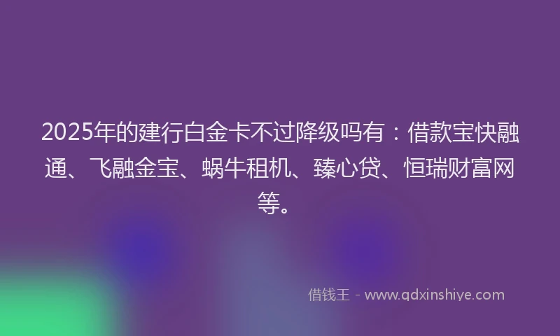 2025年的建行白金卡不过降级吗有：借款宝快融通、飞融金宝、蜗牛租机、臻心贷、恒瑞财富网等。