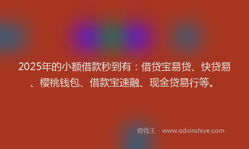 2025年的小额借款秒到有：借贷宝易贷、快贷易、樱桃钱包、借款宝速融、现金贷易行等。