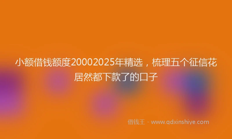 小额借钱额度20002025年精选，梳理五个征信花居然都下款了的口子