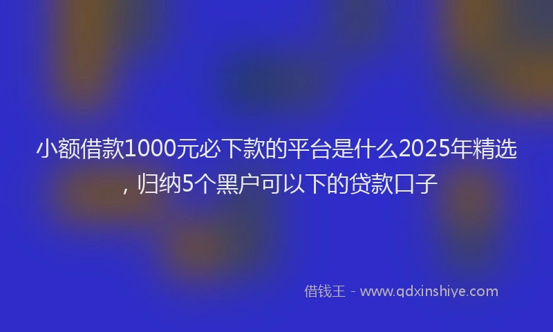 小额借款1000元必下款的平台是什么2025年精选，归纳5个黑户可以下的贷款口子