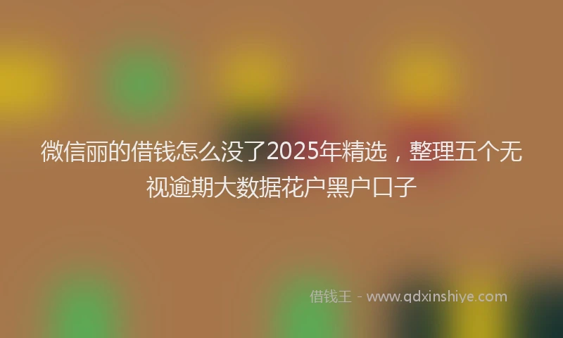 微信丽的借钱怎么没了2025年精选，整理五个无视逾期大数据花户黑户口子
