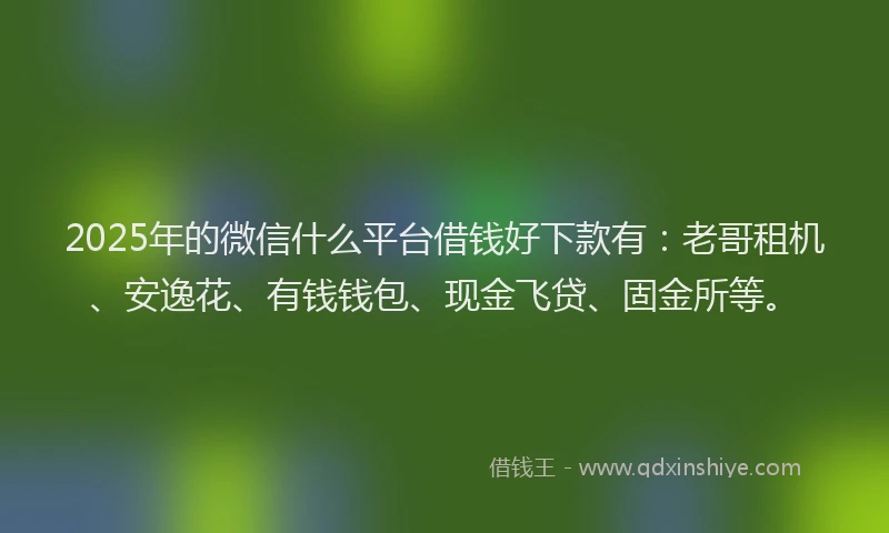2025年的微信什么平台借钱好下款有：老哥租机、安逸花、有钱钱包、现金飞贷、固金所等。