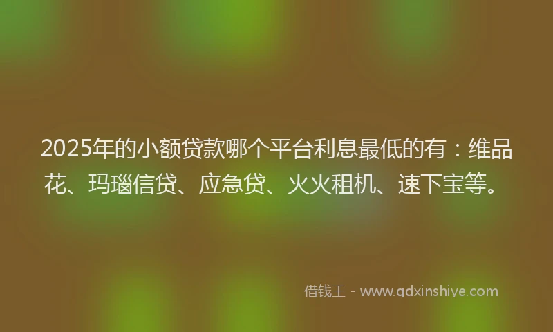 2025年的小额贷款哪个平台利息最低的有：维品花、玛瑙信贷、应急贷、火火租机、速下宝等。