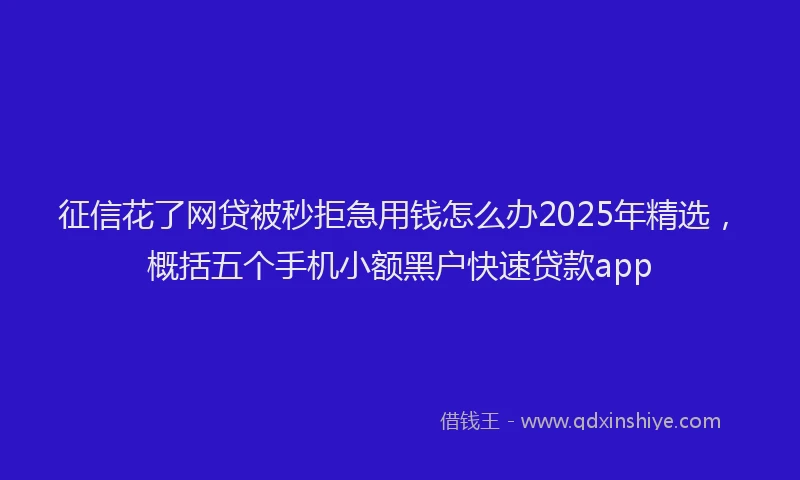 征信花了网贷被秒拒急用钱怎么办2025年精选，概括五个手机小额黑户快速贷款app
