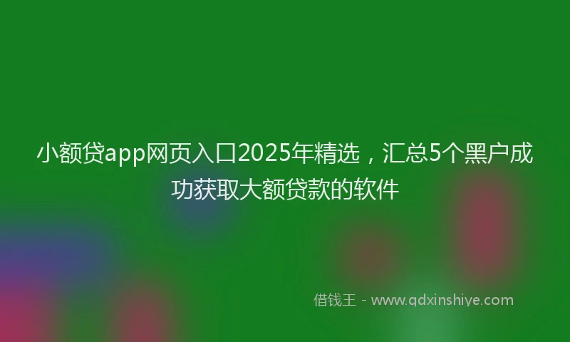 小额贷app网页入口2025年精选，汇总5个黑户成功获取大额贷款的软件