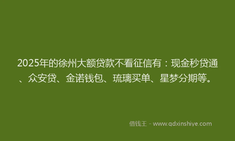 2025年的徐州大额贷款不看征信有：现金秒贷通、众安贷、金诺钱包、琉璃买单、星梦分期等。