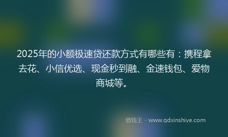 2025年的小额极速贷还款方式有哪些有：携程拿去花、小信优选、现金秒到融、金速钱包、爱物商城等。