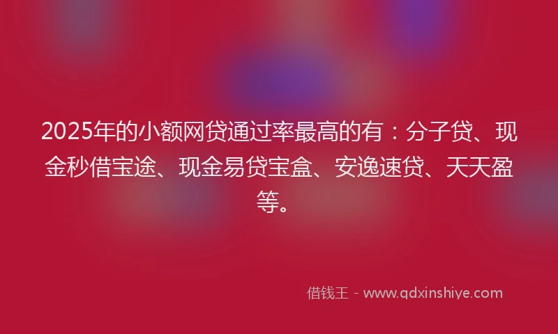 2025年的小额网贷通过率最高的有：分子贷、现金秒借宝途、现金易贷宝盒、安逸速贷、天天盈等。