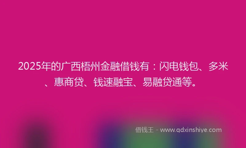 2025年的广西梧州金融借钱有：闪电钱包、多米、惠商贷、钱速融宝、易融贷通等。