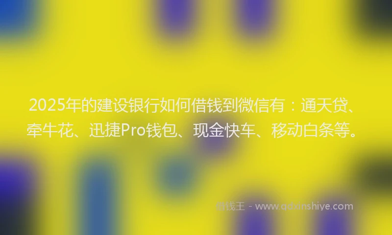 2025年的建设银行如何借钱到微信有：通天贷、牵牛花、迅捷Pro钱包、现金快车、移动白条等。