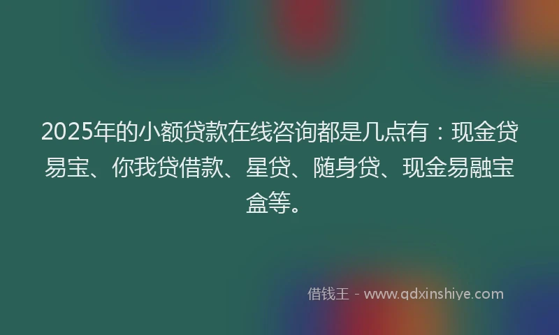 2025年的小额贷款在线咨询都是几点有：现金贷易宝、你我贷借款、星贷、随身贷、现金易融宝盒等。