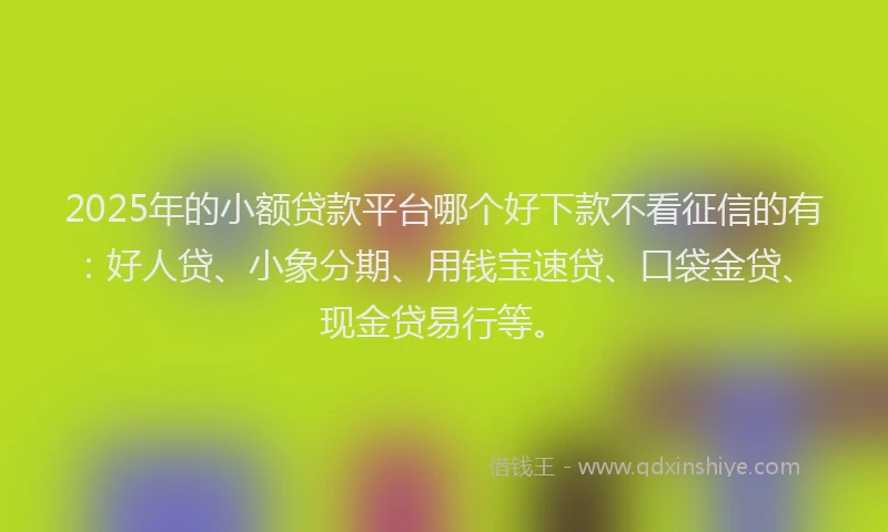 2025年的小额贷款平台哪个好下款不看征信的有：好人贷、小象分期、用钱宝速贷、口袋金贷、现金贷易行等。