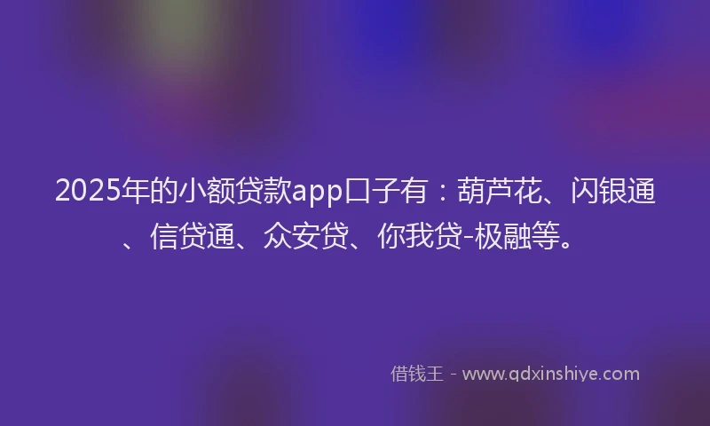 2025年的小额贷款app口子有：葫芦花、闪银通、信贷通、众安贷、你我贷-极融等。