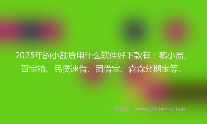 2025年的小额贷用什么软件好下款有：鹅小易、百宝箱、民贷速借、团借宝、森森分期宝等。