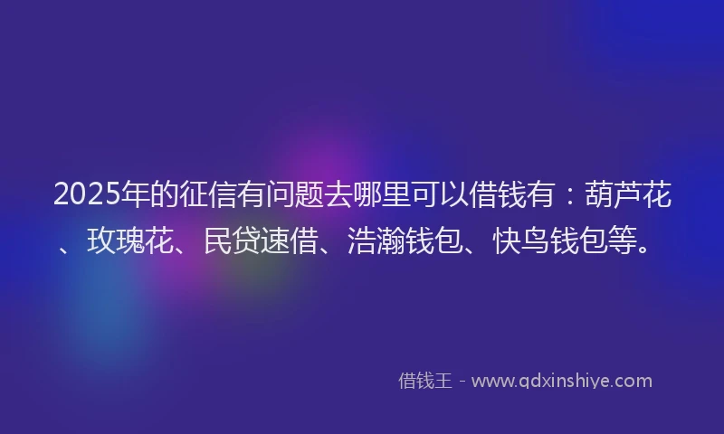 2025年的征信有问题去哪里可以借钱有：葫芦花、玫瑰花、民贷速借、浩瀚钱包、快鸟钱包等。