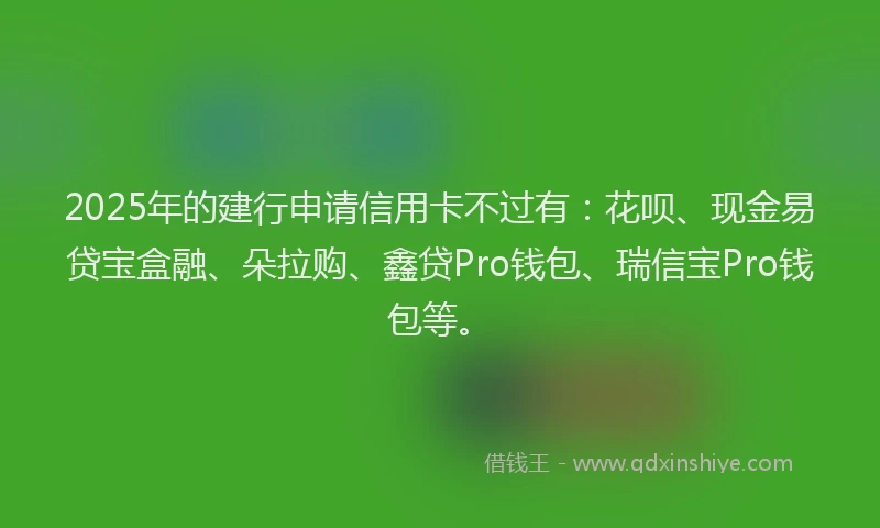 2025年的建行申请信用卡不过有：花呗、现金易贷宝盒融、朵拉购、鑫贷Pro钱包、瑞信宝Pro钱包等。