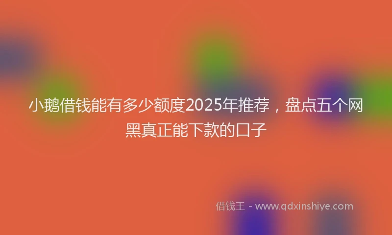 小鹅借钱能有多少额度2025年推荐，盘点五个网黑真正能下款的口子