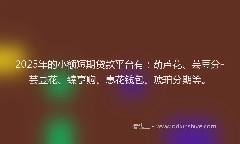 2025年的小额短期贷款平台有：葫芦花、芸豆分-芸豆花、臻享购、惠花钱包、琥珀分期等。