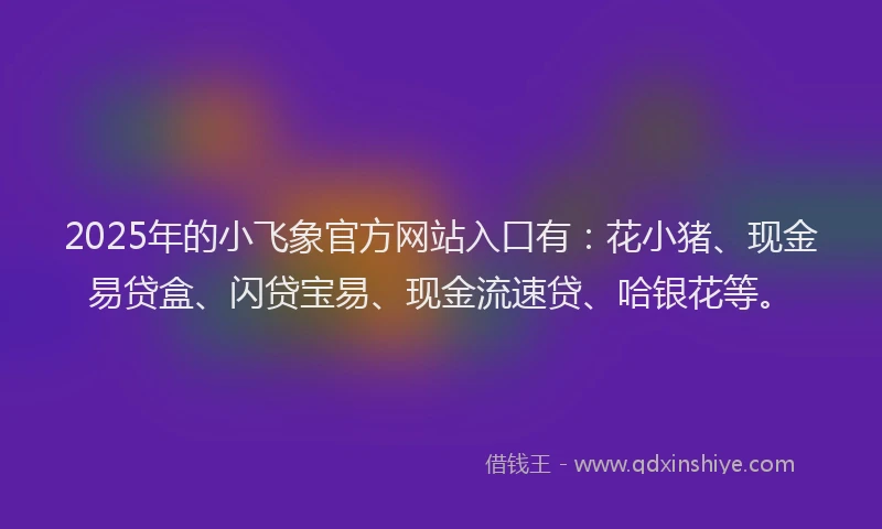 2025年的小飞象官方网站入口有：花小猪、现金易贷盒、闪贷宝易、现金流速贷、哈银花等。