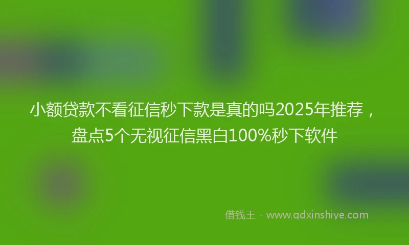 小额贷款不看征信秒下款是真的吗2025年推荐，盘点5个无视征信黑白100%秒下软件