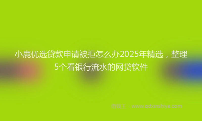 小鹿优选贷款申请被拒怎么办2025年精选，整理5个看银行流水的网贷软件