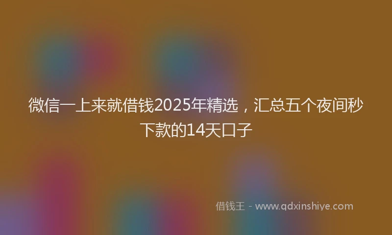 微信一上来就借钱2025年精选，汇总五个夜间秒下款的14天口子