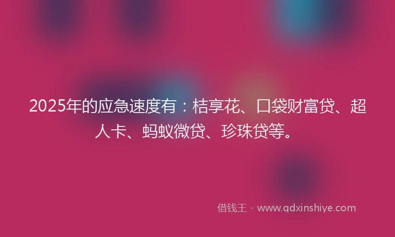 2025年的应急速度有：桔享花、口袋财富贷、超人卡、蚂蚁微贷、珍珠贷等。