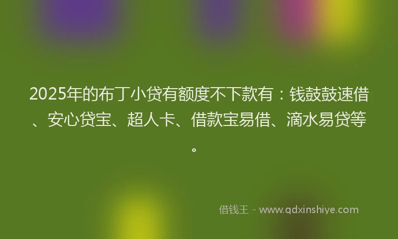 2025年的布丁小贷有额度不下款有：钱鼓鼓速借、安心贷宝、超人卡、借款宝易借、滴水易贷等。
