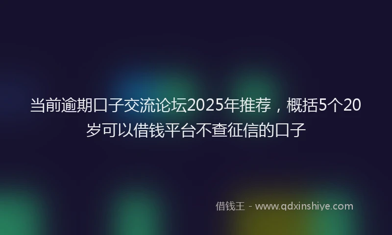 当前逾期口子交流论坛2025年推荐，概括5个20岁可以借钱平台不查征信的口子