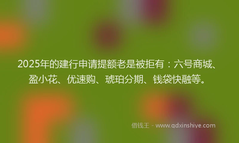 2025年的建行申请提额老是被拒有：六号商城、盈小花、优速购、琥珀分期、钱袋快融等。