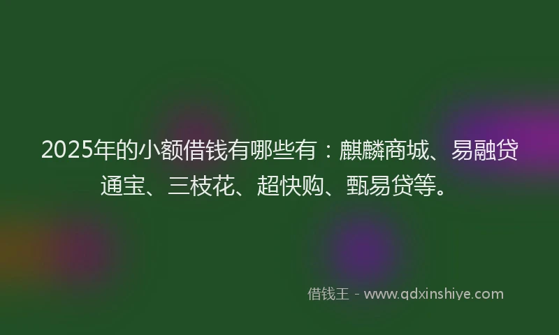 2025年的小额借钱有哪些有：麒麟商城、易融贷通宝、三枝花、超快购、甄易贷等。