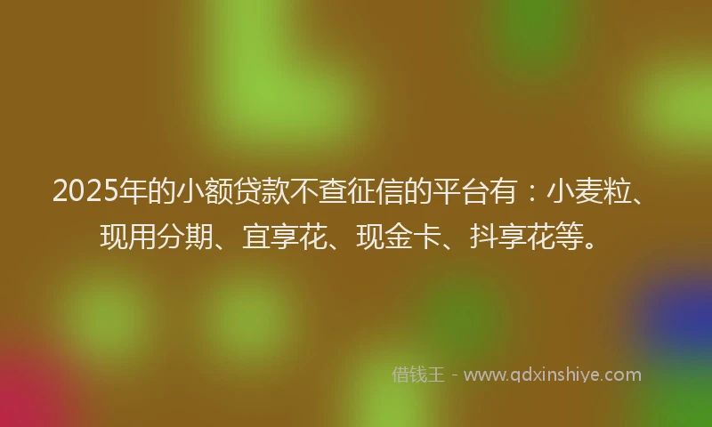 2025年的小额贷款不查征信的平台有：小麦粒、现用分期、宜享花、现金卡、抖享花等。