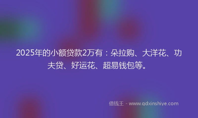 2025年的小额贷款2万有：朵拉购、大洋花、功夫贷、好运花、超易钱包等。