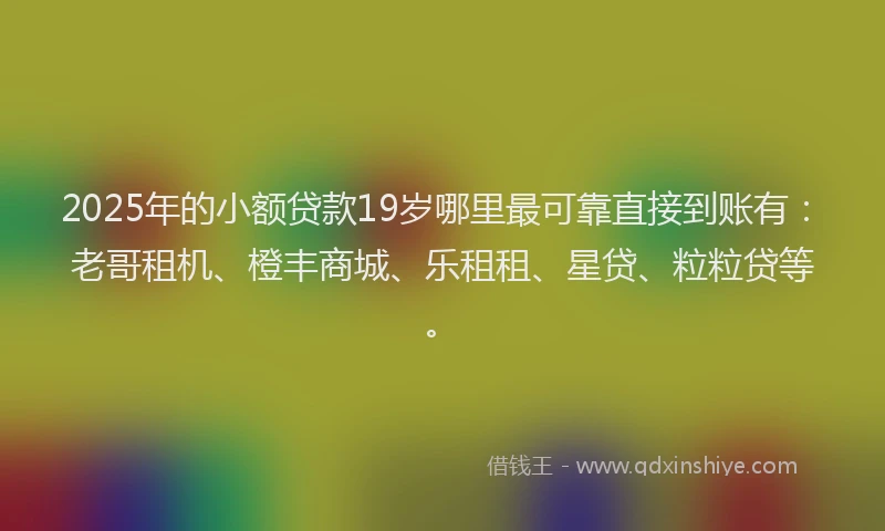 2025年的小额贷款19岁哪里最可靠直接到账有：老哥租机、橙丰商城、乐租租、星贷、粒粒贷等。