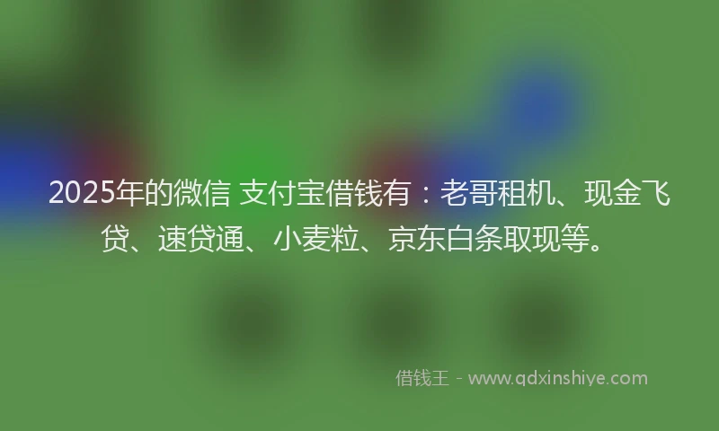 2025年的微信 支付宝借钱有：老哥租机、现金飞贷、速贷通、小麦粒、京东白条取现等。