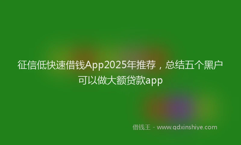 征信低快速借钱App2025年推荐，总结五个黑户可以做大额贷款app