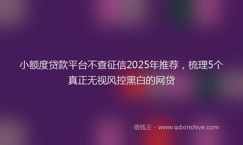 小额度贷款平台不查征信2025年推荐，梳理5个真正无视风控黑白的网贷